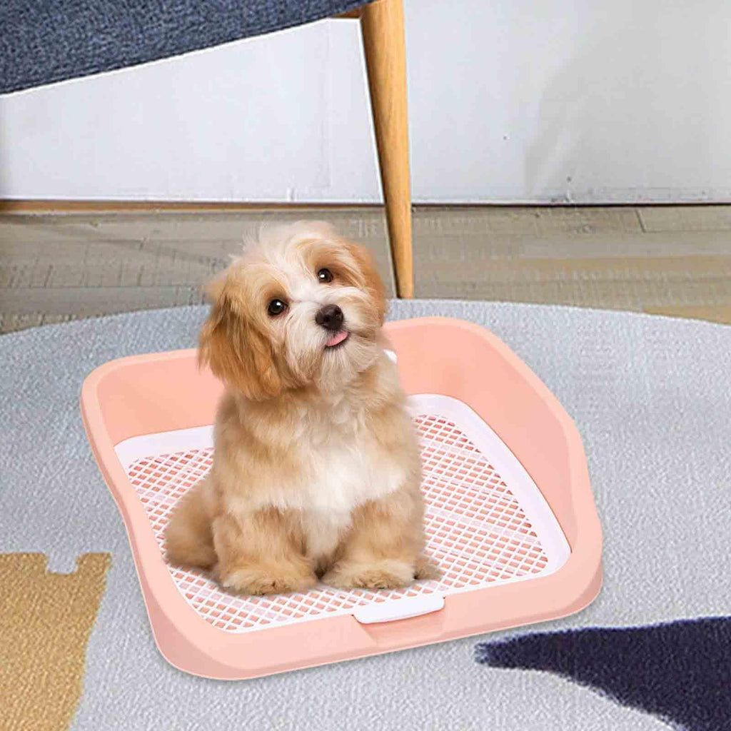 Pet Toilet Training Holder with Protection Dog Potty Pad Q2827