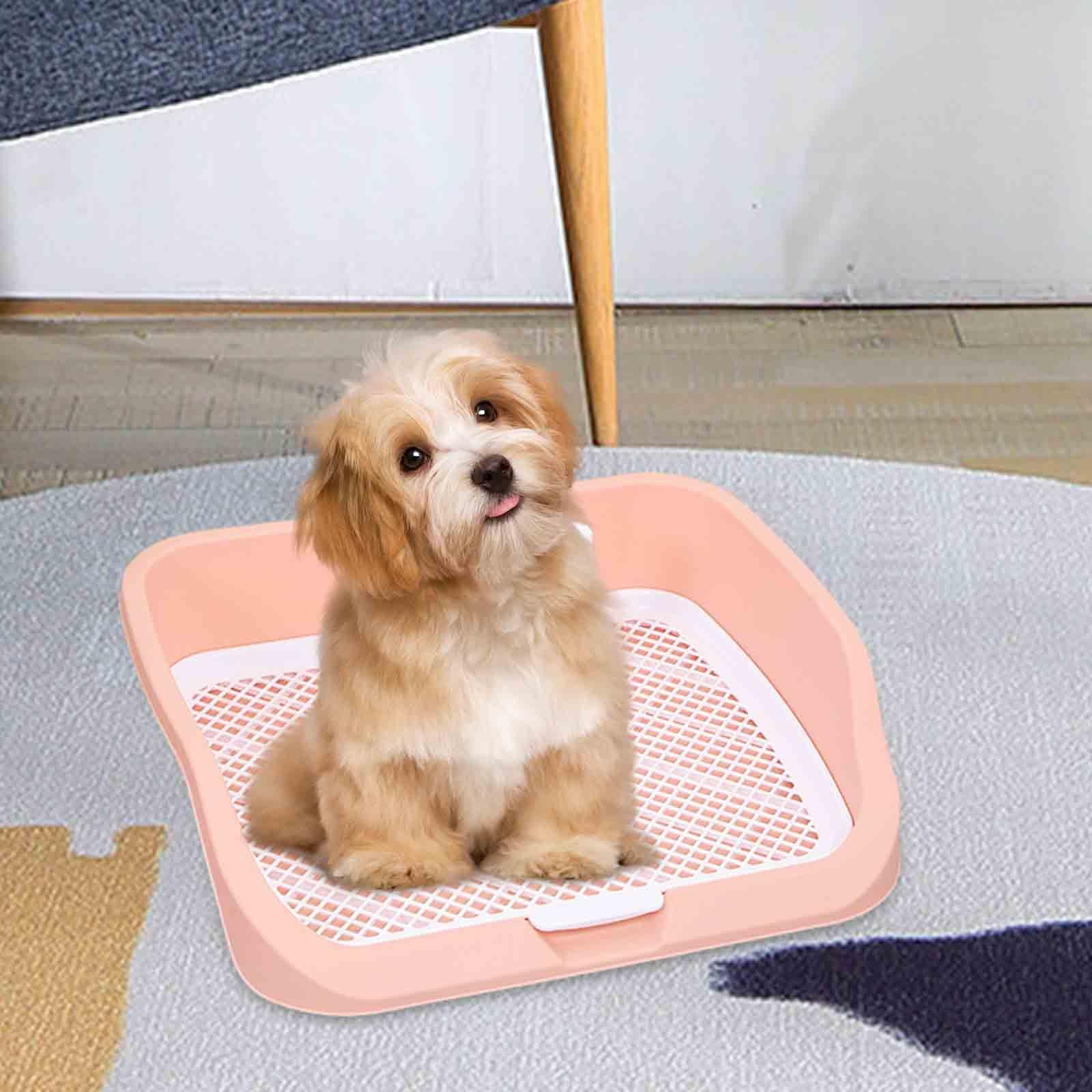 Pet Toilet Training Holder with Protection Dog Potty Pad Q2827