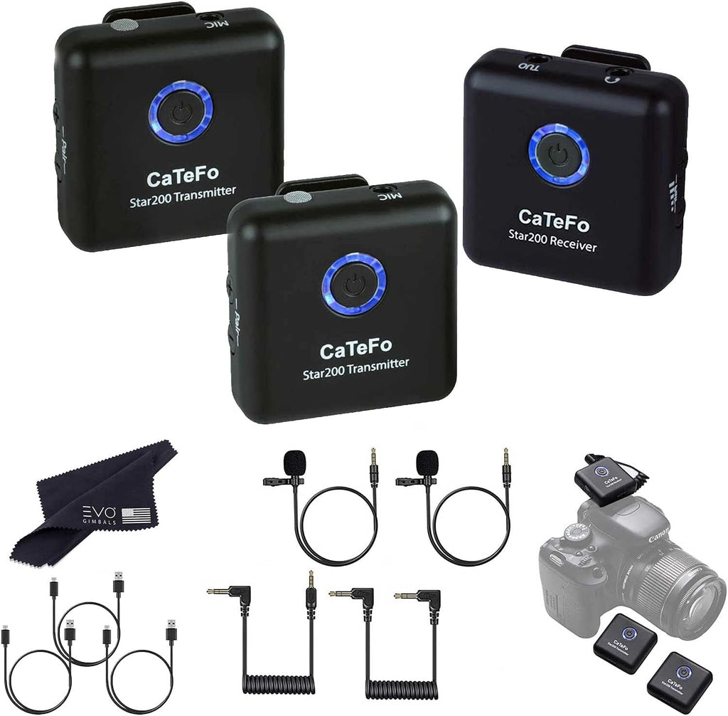 Dual Channel Wireless Microphone System with Lavalier J43188