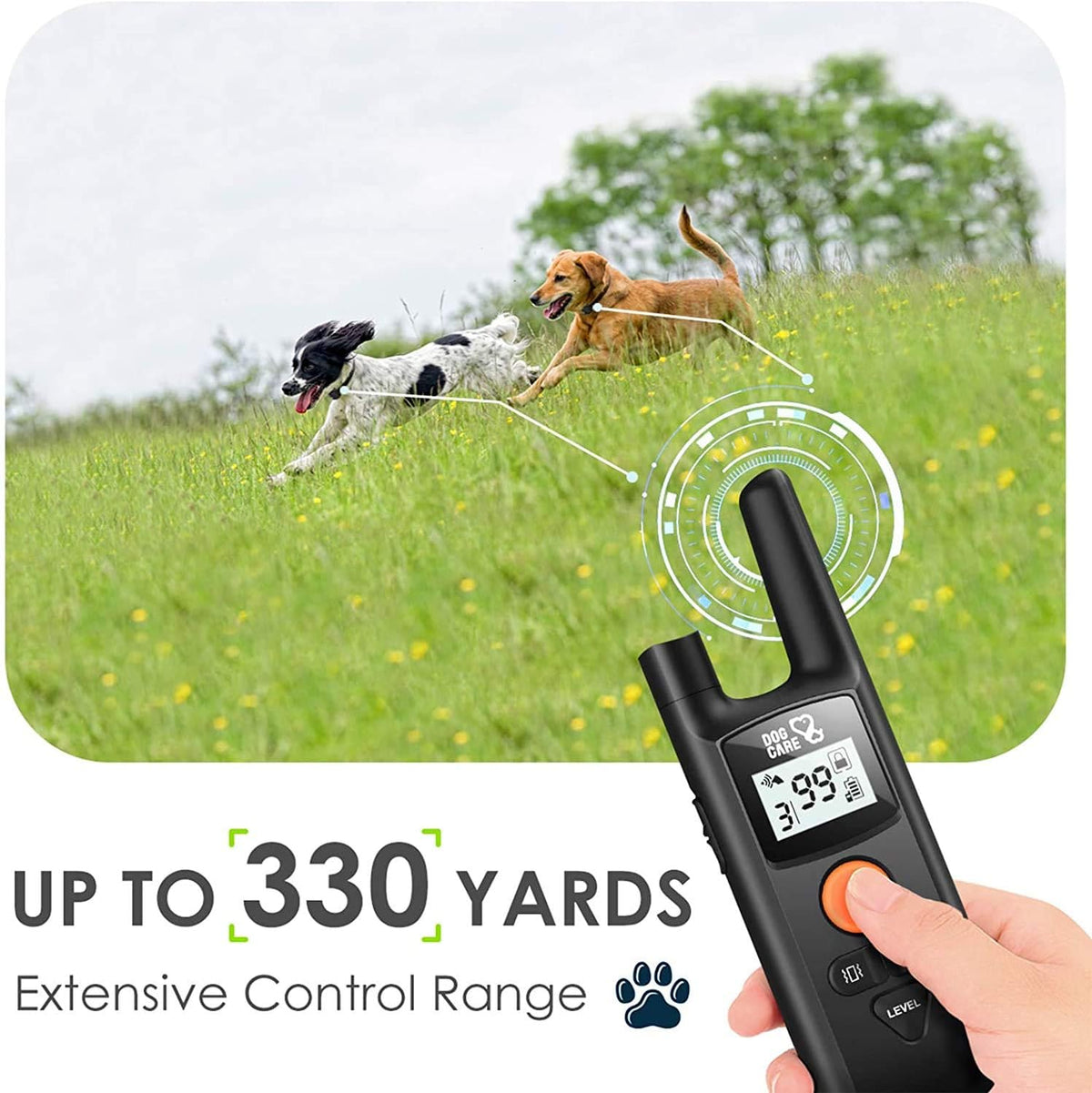 Rechargeable Dog Training Collar with Remote, Pack of 2 T870106