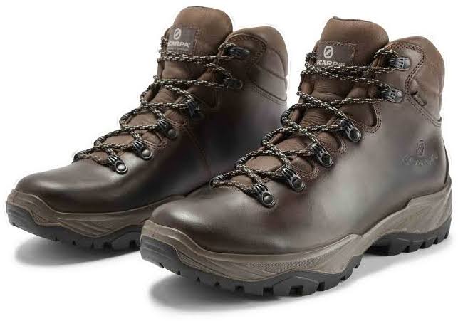 Brown Terra GTX Shoes T8809