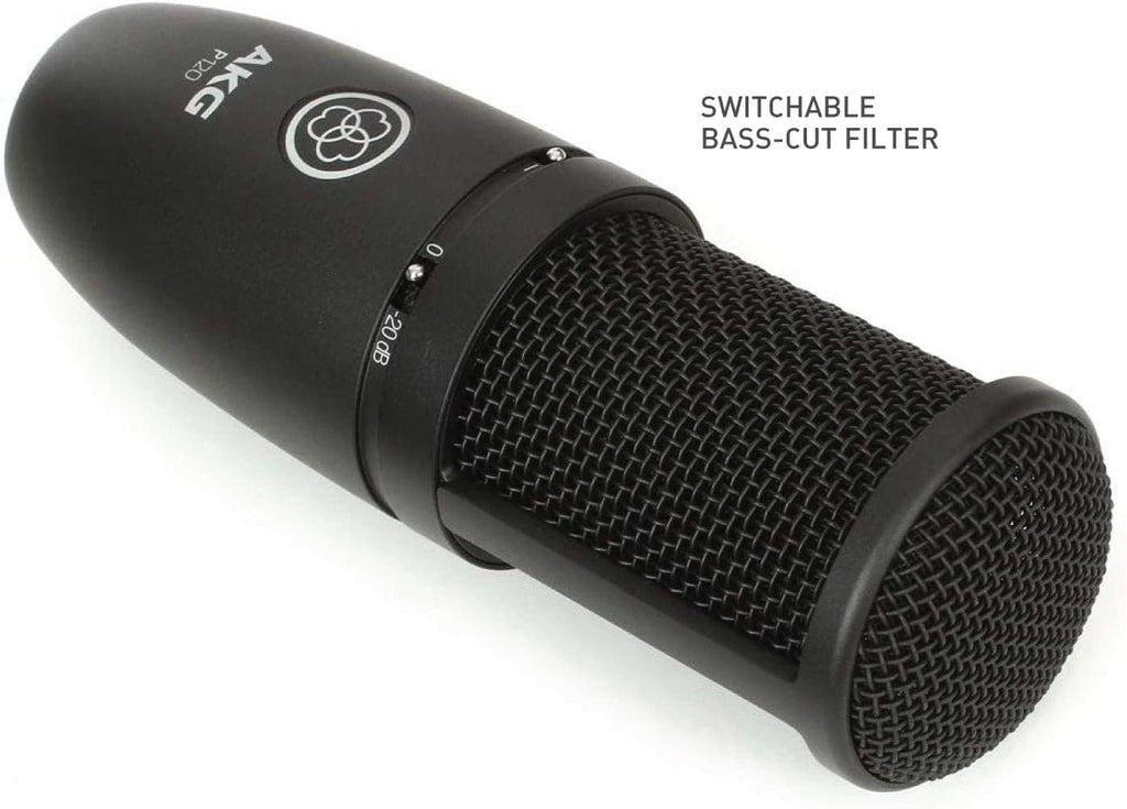 AKG P120 Recording Microphone O465