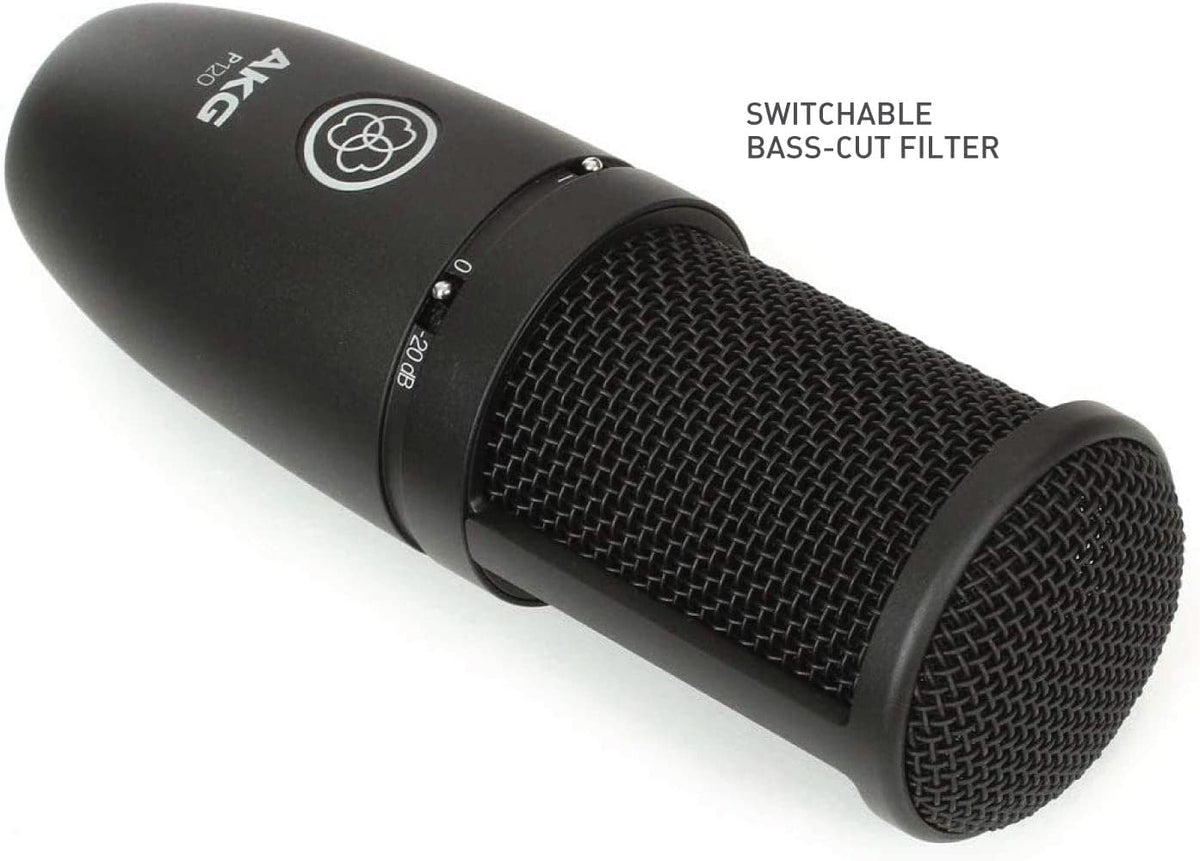 AKG P120 Recording Microphone O465