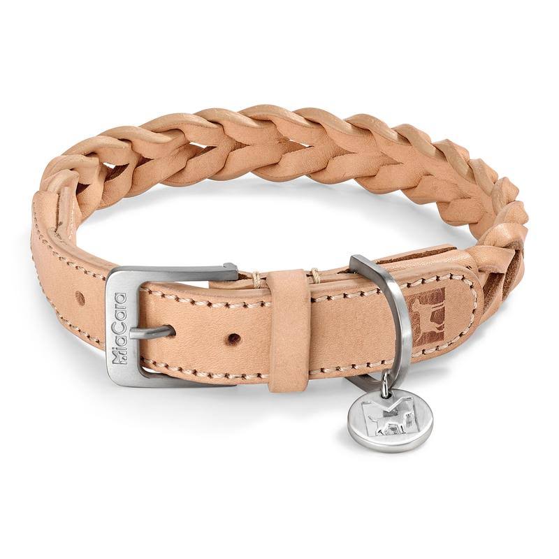 Brown Dog Collar Q953735