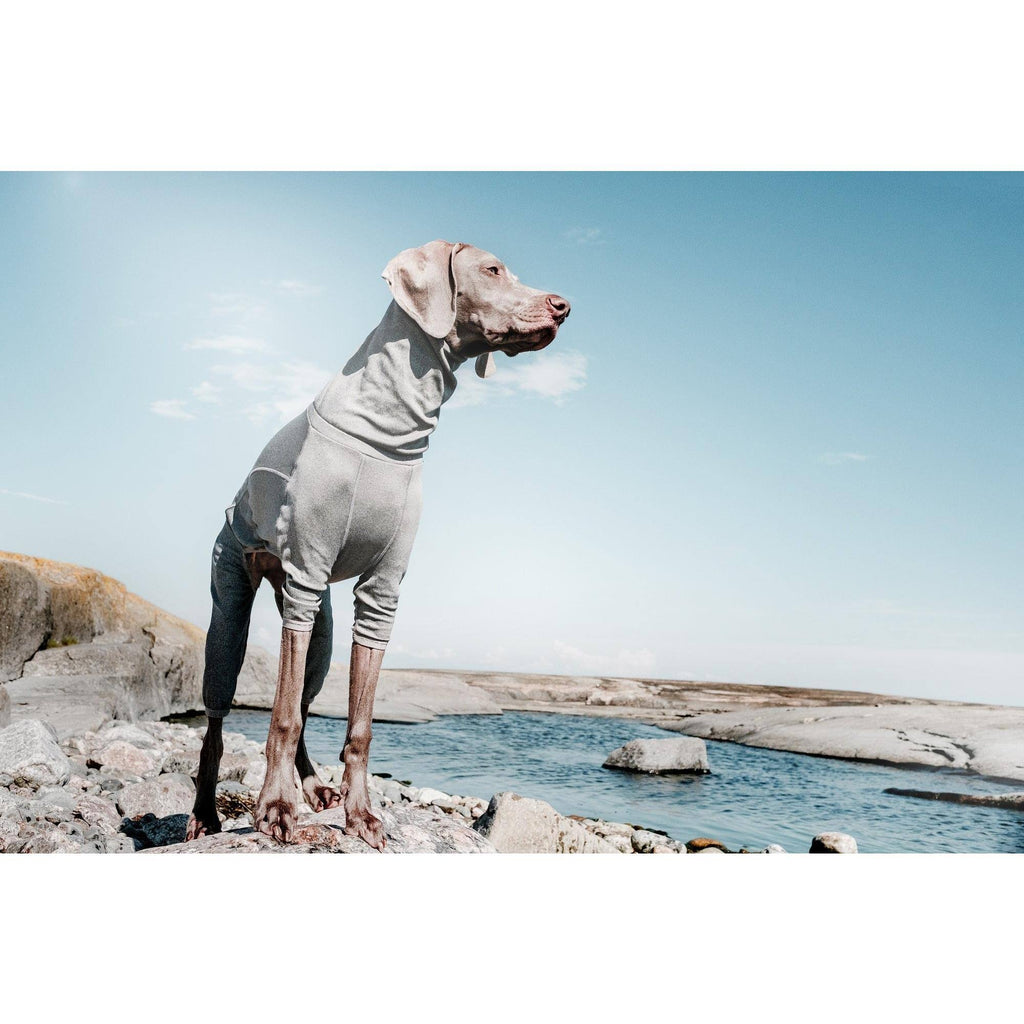 Carbon Grey Dog Body Warmer D698