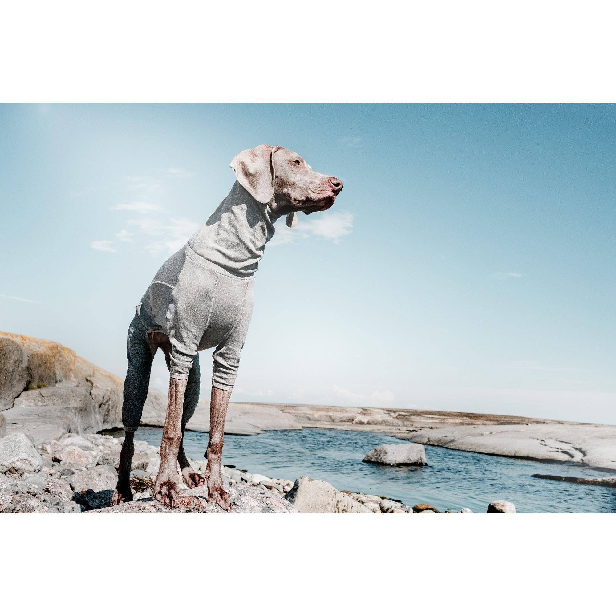 Carbon Grey Dog Body Warmer D698