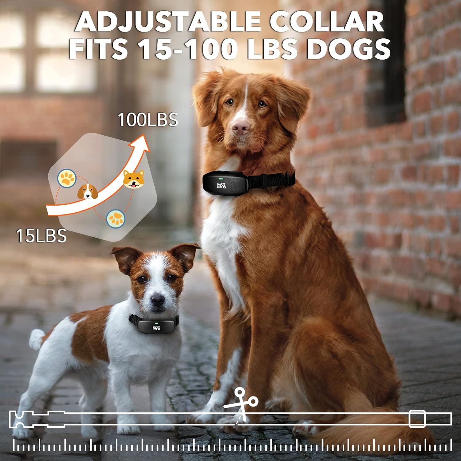 Rechargeable Dog Training Collar with Remote, Pack of 2 T870106