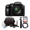 Panasonic Lumix FZ80 4K 60X Zoom Digital Camera with SanDisk 64GB SD Card Bundle S418937