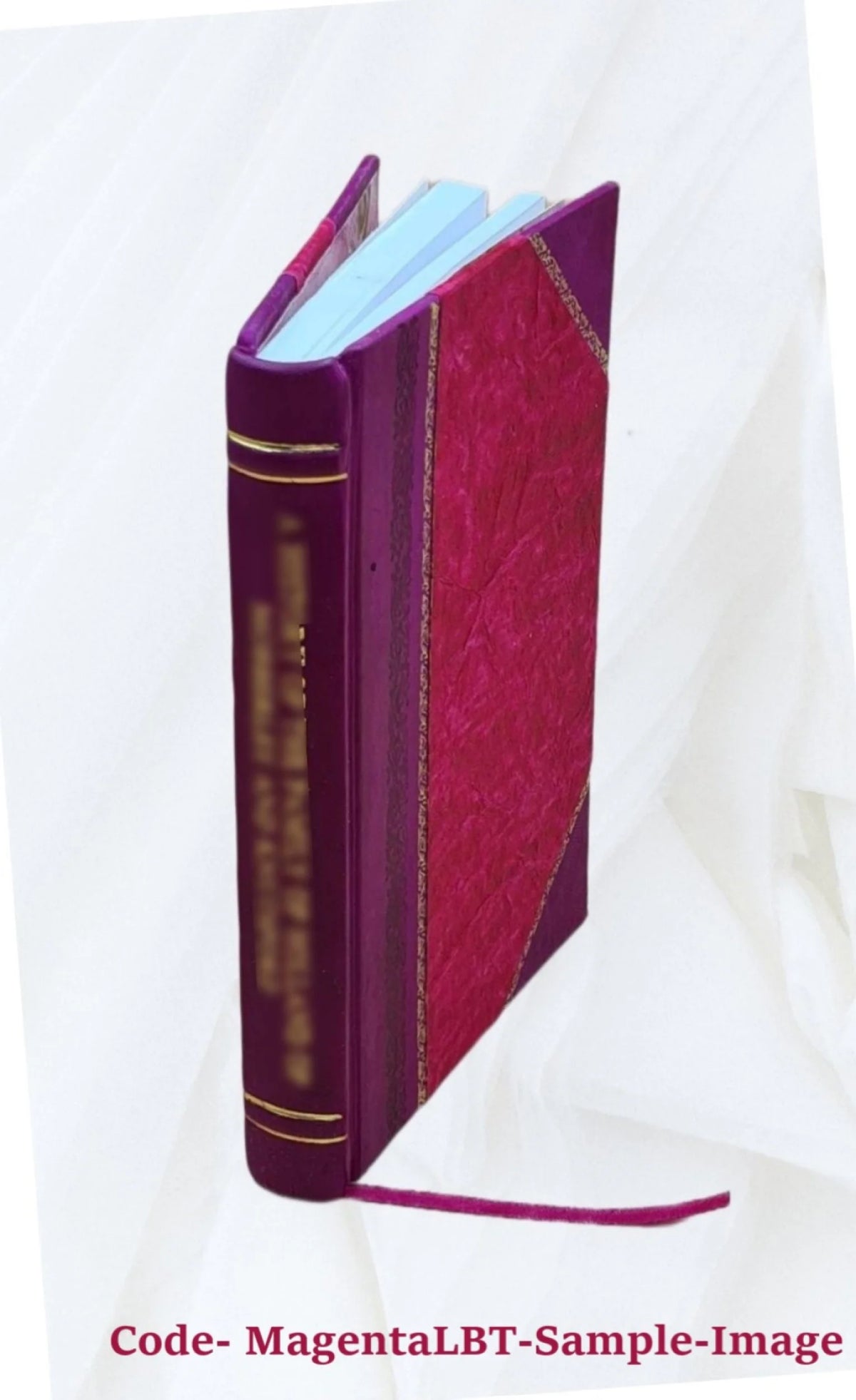 Leather Bound Book T545127