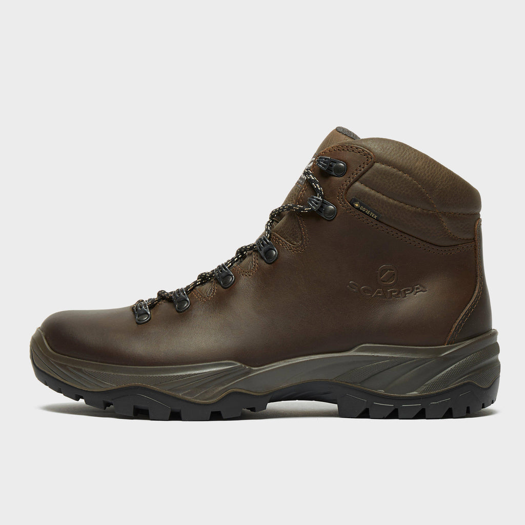 Brown Terra GTX Shoes T8809