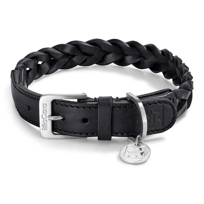 Brown Dog Collar Q953735
