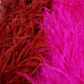 6 Ply Hot Pink Ostrich Feather Boa W3687