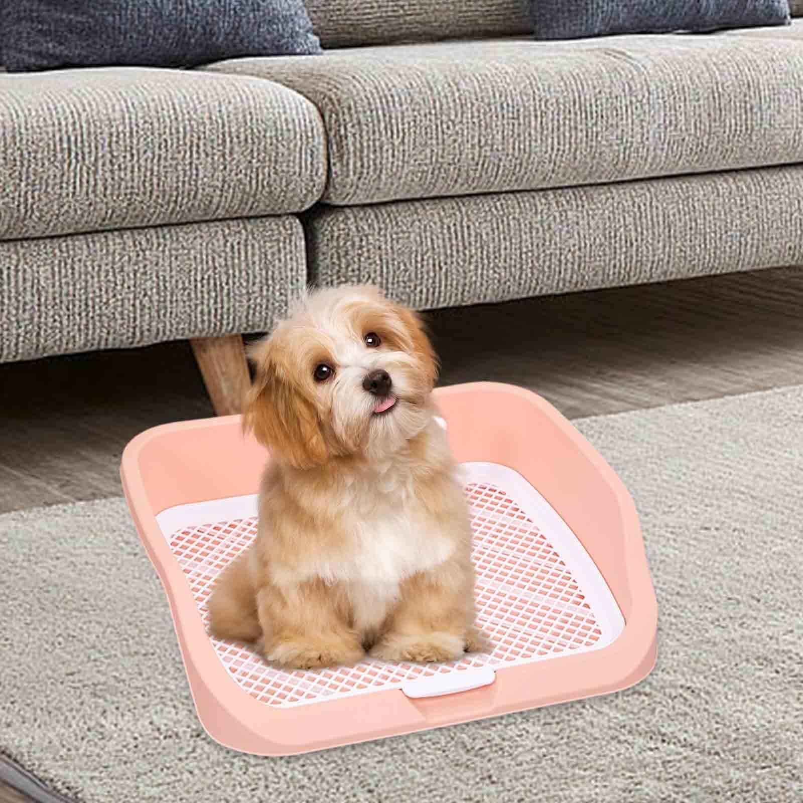 Pet Toilet Training Holder with Protection Dog Potty Pad Q2827