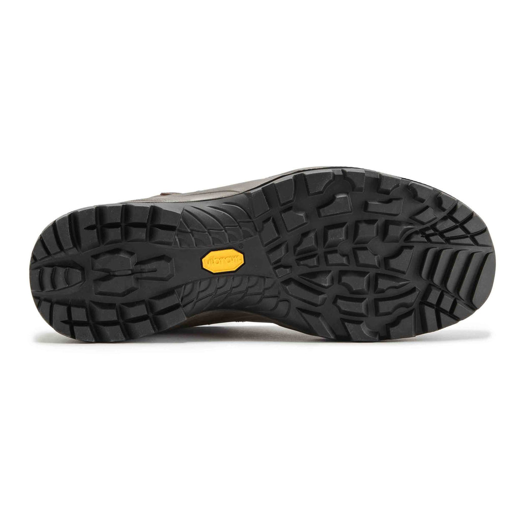 Brown Terra GTX Shoes T8809