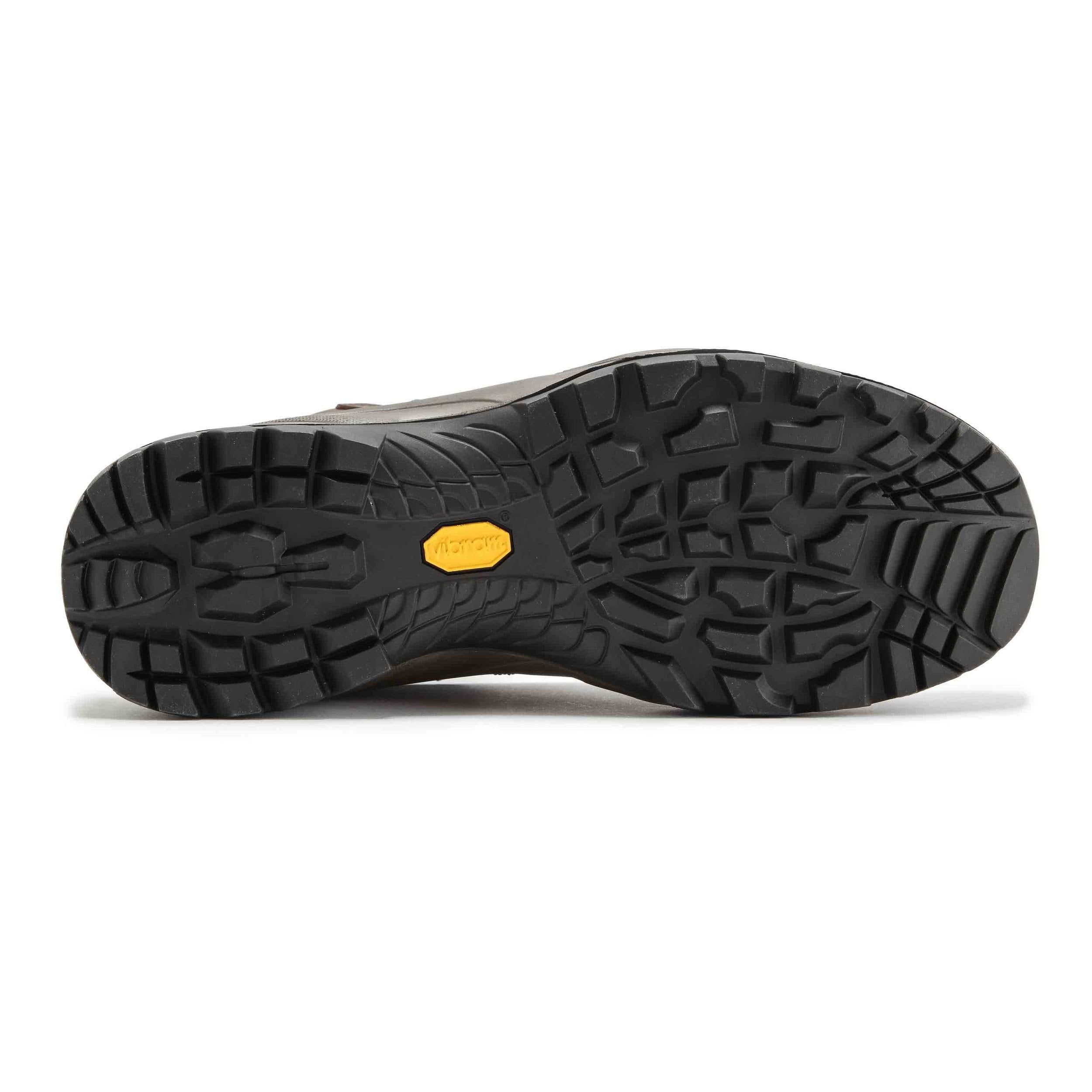 Brown Terra GTX Shoes T8809