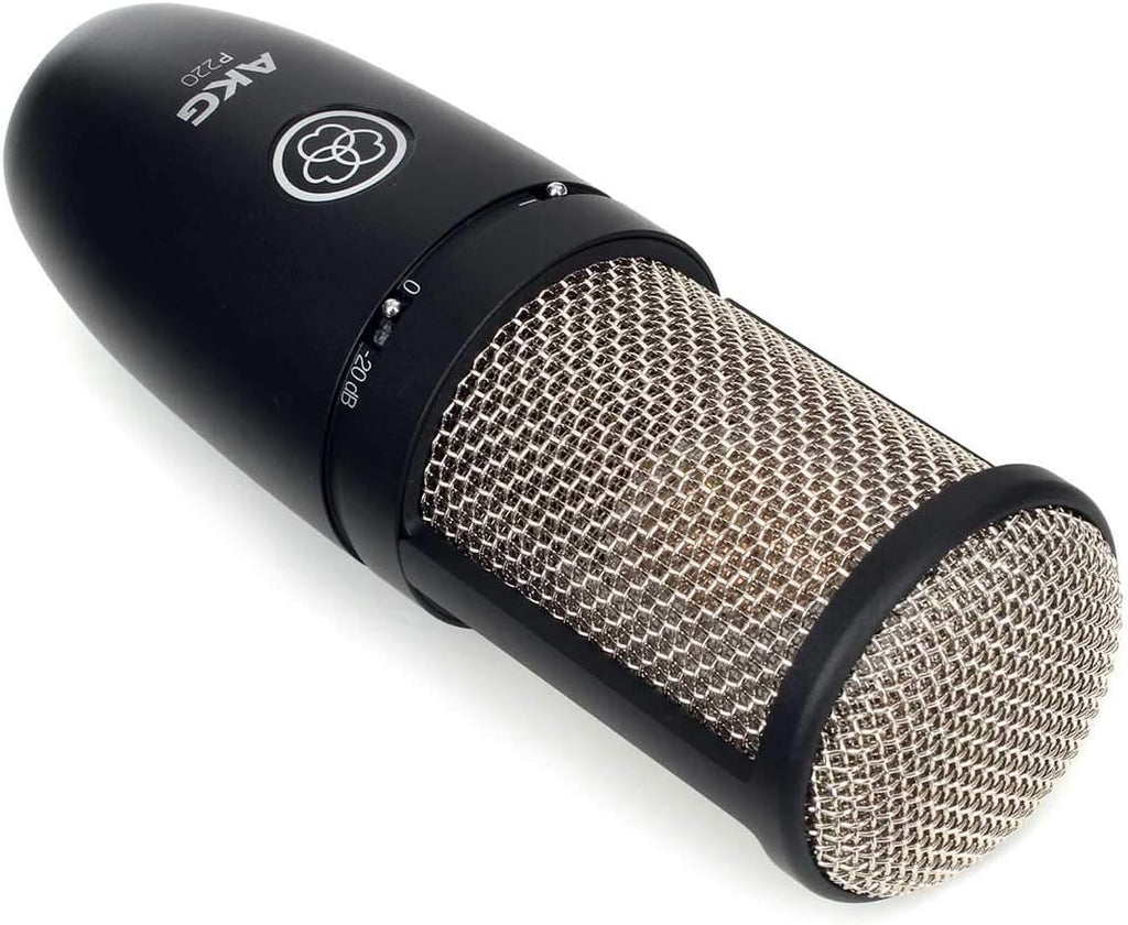 Large-Diaphragm Cardioid Condenser Microphone Bundle with XLR Cable, Pop Filter, Cable Ties and Microfiber Cloth J3206