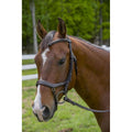 Black Anatomical Bridle Q2858