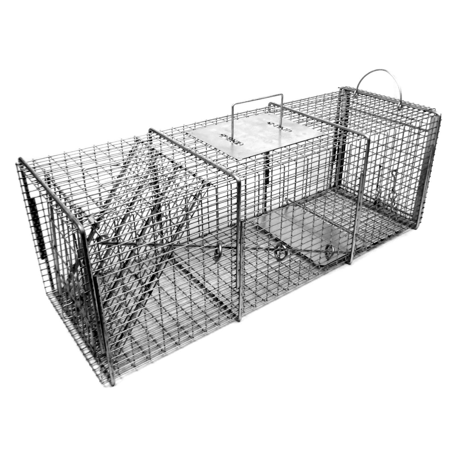 1 Door Live Trap with Rear Sliding Access Door T18391