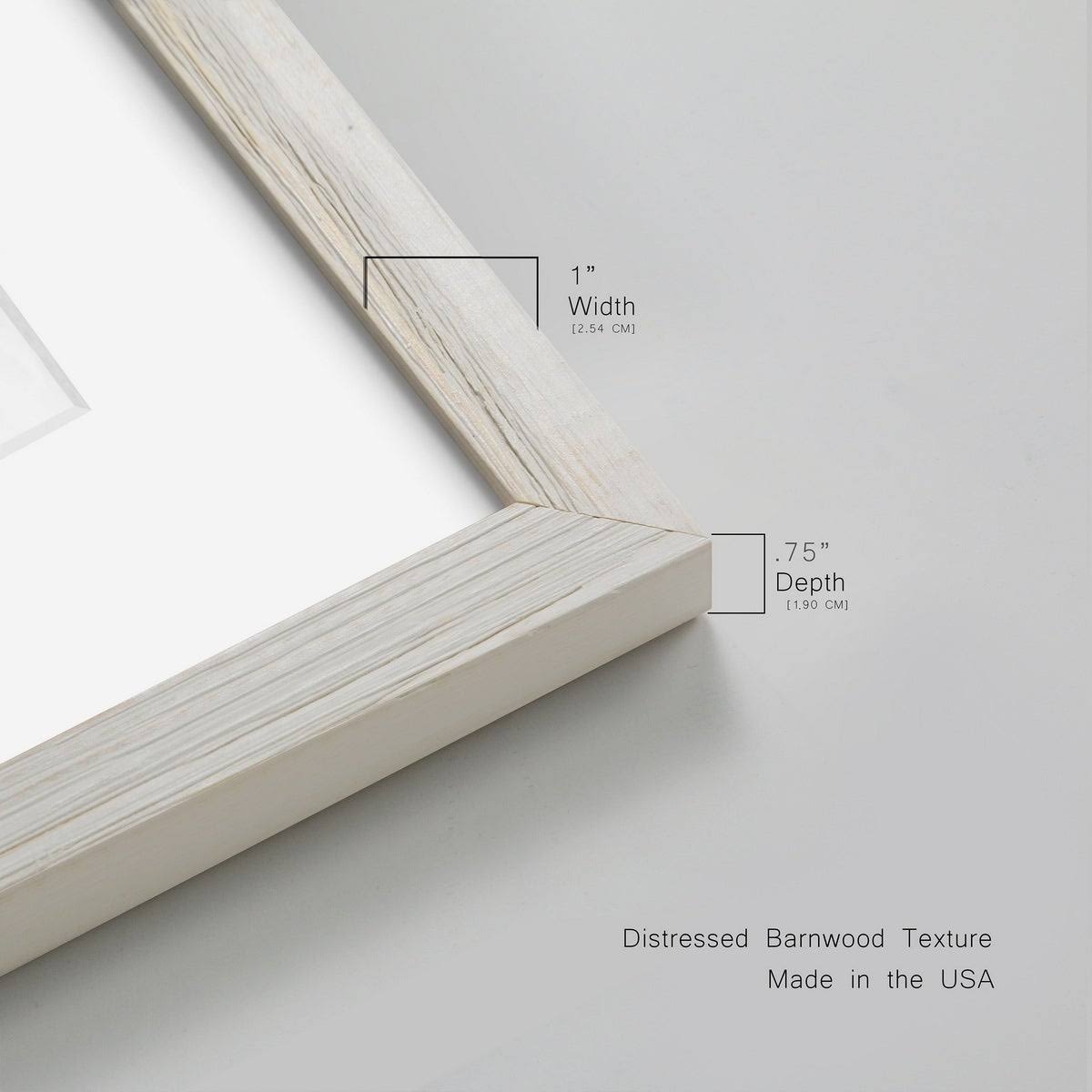 Framed Print 27.5X37.5 Walnut G158