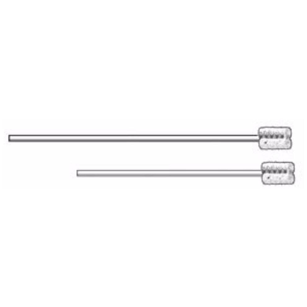 Oral Swabs Y53812
