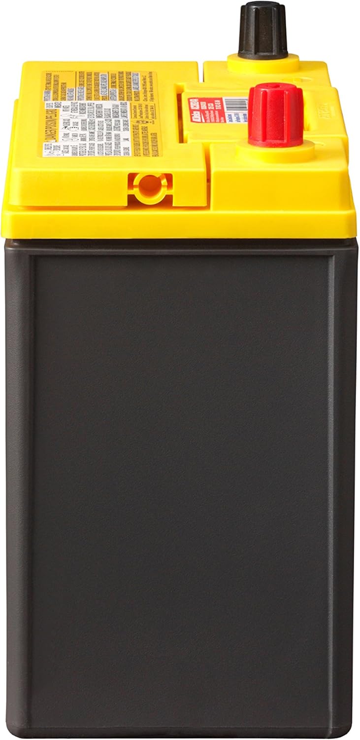 ACDelco Gold B24R Hybrid Vehicle AGM Battery B6844