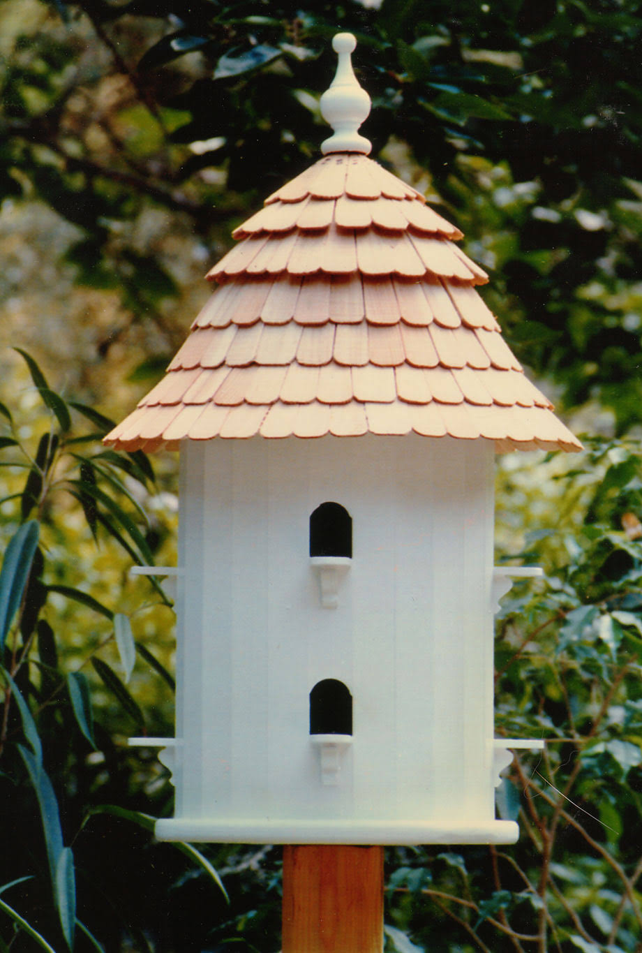 Bird House D458