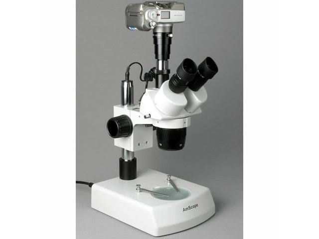 Trinocular Stereo Microscope, WH10x Eyepieces, 20x/40x/80x Magnification, 2x/4x Objective, Upper and Lower Halo L785036