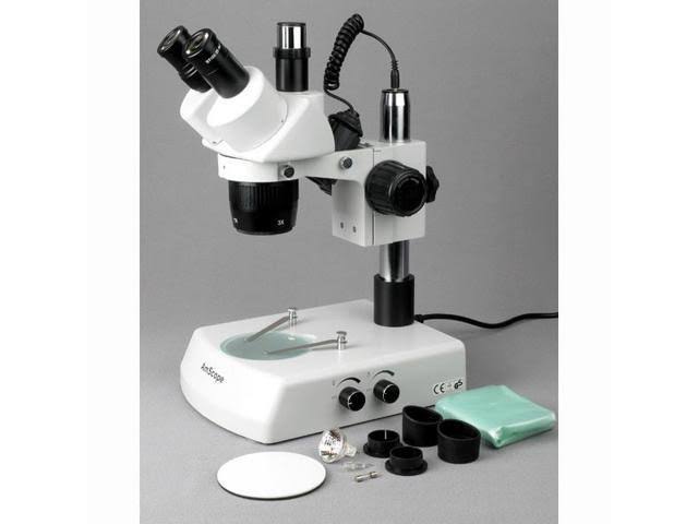 Trinocular Stereo Microscope, WH10x Eyepieces, 20x/40x/80x Magnification, 2x/4x Objective, Upper and Lower Halo L785036