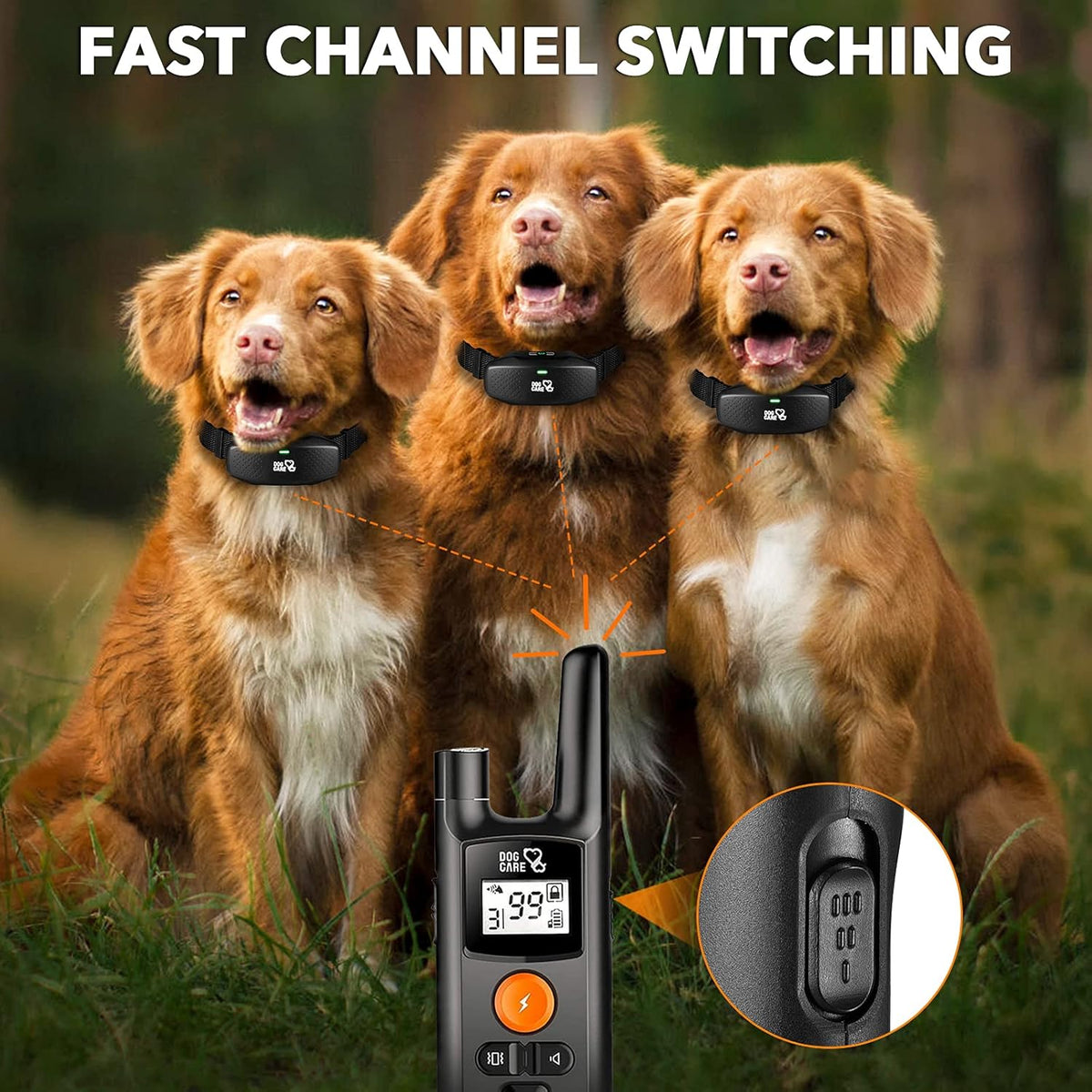 Rechargeable Dog Training Collar with Remote, Pack of 2 T870106