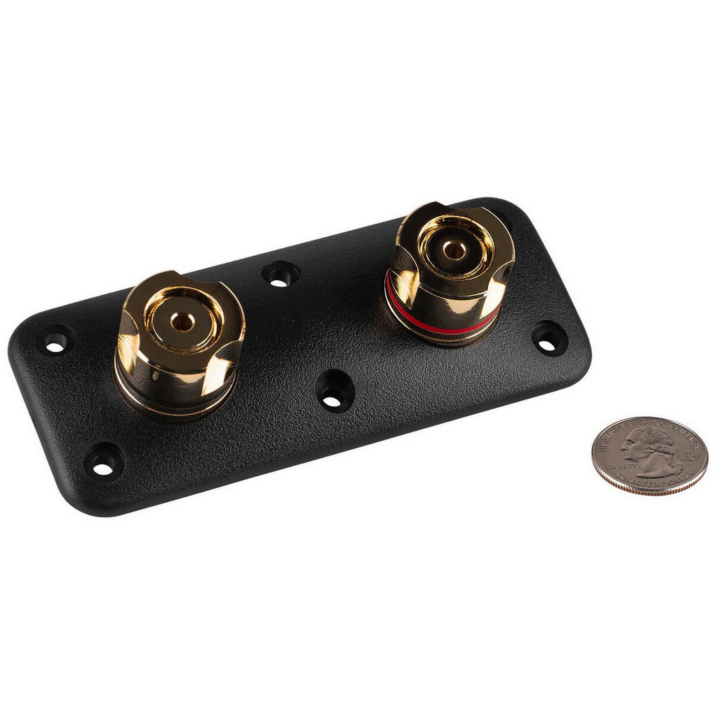 Binding Post Banana Jack Speaker Terminal D822