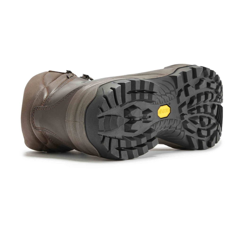 Brown Terra GTX Shoes T8809
