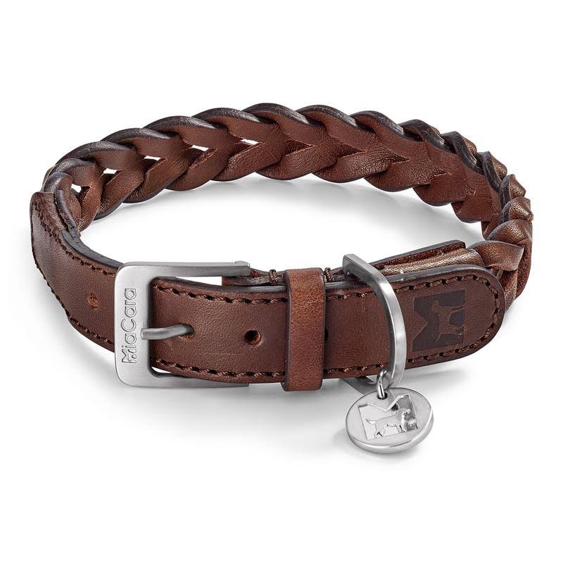 Brown Dog Collar Q953735