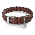 Brown Dog Collar Q953735