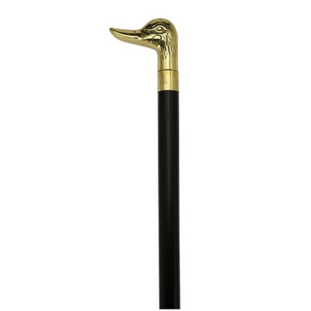 Black Maple Cane with Solid Brass Handle D481394