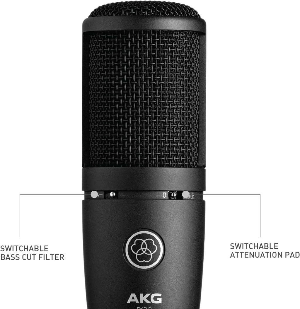 AKG P120 Recording Microphone O465