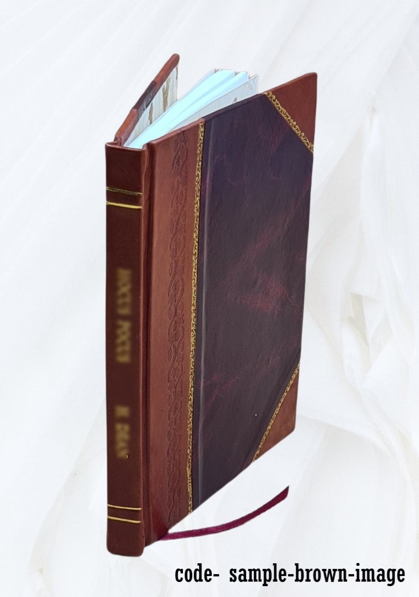 Leather Bound Treatise S48638
