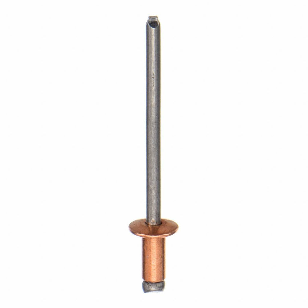 Wedge Anchor X280661