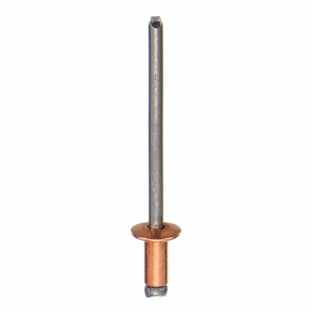 Wedge Anchor X280661