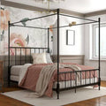 Black Queen Metal Canopy Bed C502890